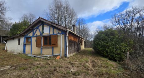 Maison de plain pied à renover sur 3678m2 en prairie et chênes.
