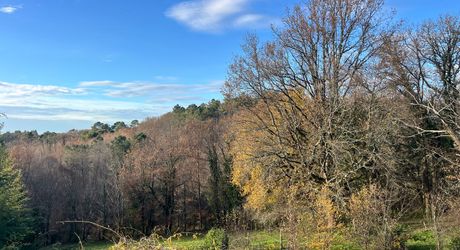 Maison très belle vue, 3 chambres, un bureau, piscine et nombreuses dépendances. Visite virtuelle sur demande