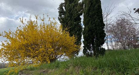 Propriété en pierre du Périgord avec dépendances, piscine, vue dégagée et calme !