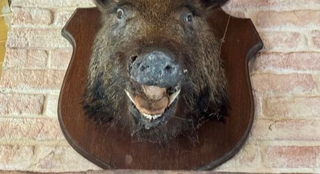Propriété en pierre du Périgord avec dépendances, piscine, vue dégagée et calme !