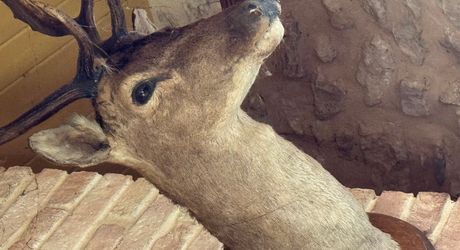 Propriété en pierre du Périgord avec dépendances, piscine, vue dégagée et calme !