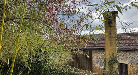 Propriété en pierre du Périgord avec dépendances, piscine, vue dégagée et calme !