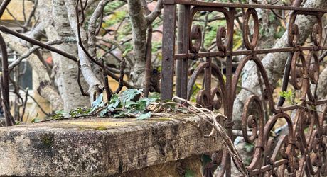 Propriété en pierre du Périgord avec dépendances, piscine, vue dégagée et calme !