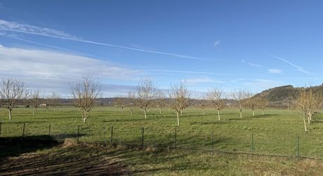 Maison de plain-pied avec 4 chambres, garages et dépendance camping-car