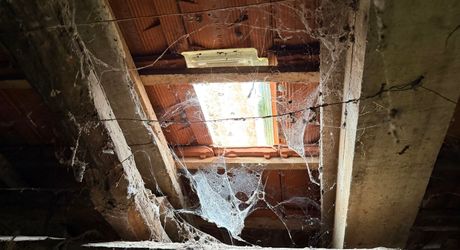 Small farmhouse to restore on over 3 hectares of land.