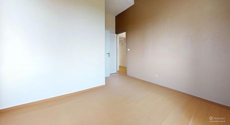 Propriété  avec deux gites,  une maison principale et deux piscines