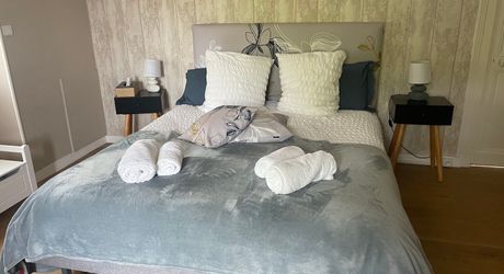 Propriété  avec deux gites,  une maison principale et deux piscines