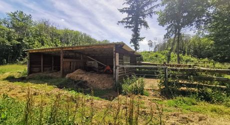 Maison traditionnelle