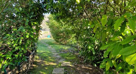 Maison en pierres avec 1 ha 60 en jardin, prairie et bois à 6 km des commerces