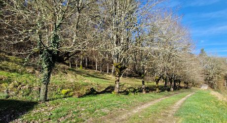 Maison en pierres avec 1 ha 60 en jardin, prairie et bois à 6 km des commerces