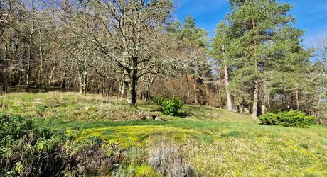 Maison en pierres avec 1 ha 60 en jardin, prairie et bois à 6 km des commerces