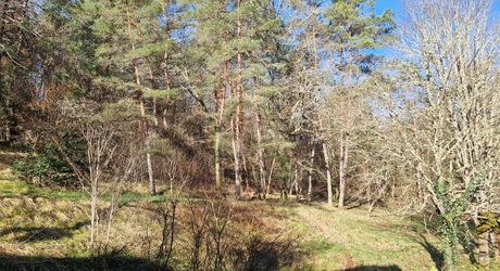 Maison en pierres avec 1 ha 60 en jardin, prairie et bois à 6 km des commerces