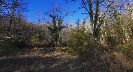 Terrain constructible