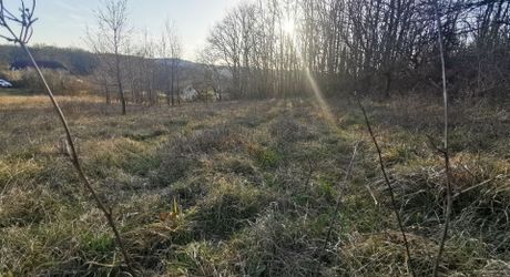 Terrain constructible