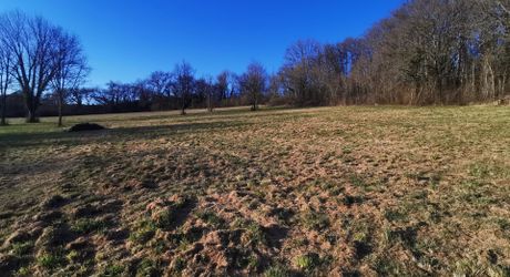 Terrain constructible