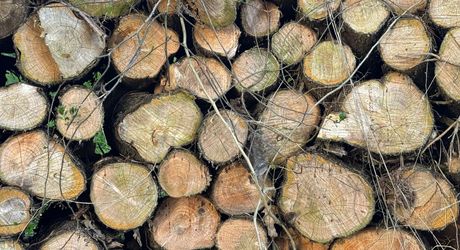 Charmant pied-à-terre contemporain – 64 m² dans un parc d’exception