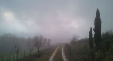 Maison de campagne avec grand terrain modulable, proche des commerces et au calme