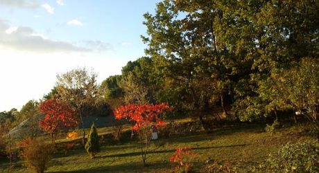 Maison de campagne avec grand terrain modulable, proche des commerces et au calme