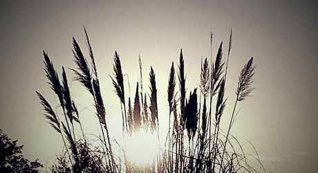 Maison de campagne avec grand terrain modulable, proche des commerces et au calme