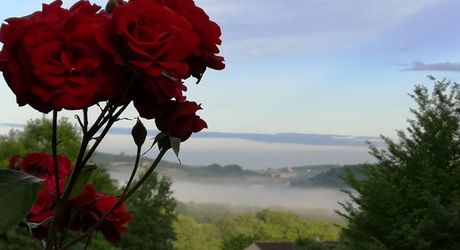 Maison de campagne avec grand terrain modulable, proche des commerces et au calme