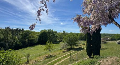 Maison de campagne avec grand terrain modulable, proche des commerces et au calme