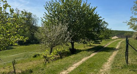 Maison de campagne avec grand terrain modulable, proche des commerces et au calme