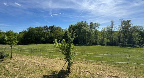 Maison de campagne avec grand terrain modulable, proche des commerces et au calme