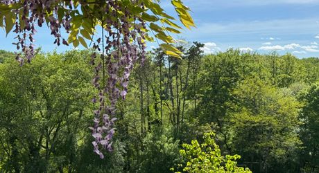 Maison de campagne avec grand terrain modulable, proche des commerces et au calme