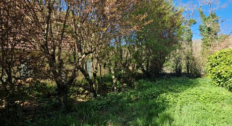 Authentique Maison Perigordine flanquée d'une tour avec jardin de 1500m2