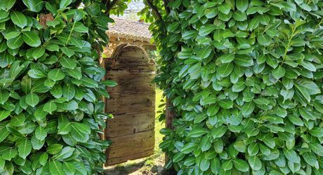 Ensemble Perigordin avec Maison Principale, 2 gites, piscine et terrain de plus de 6 ha.