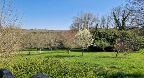 Ensemble Perigordin avec Maison Principale, 2 gites, piscine et terrain de plus de 6 ha.