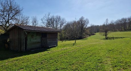 Ensemble Perigordin avec Maison Principale, 2 gites, piscine et terrain de plus de 6 ha.