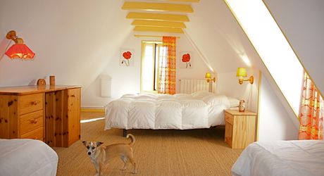 Ensemble Perigordin avec Maison Principale, 2 gites, piscine et terrain de plus de 6 ha.