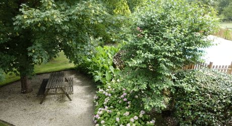 Ensemble Perigordin avec Maison Principale, 2 gites, piscine et terrain de plus de 6 ha.