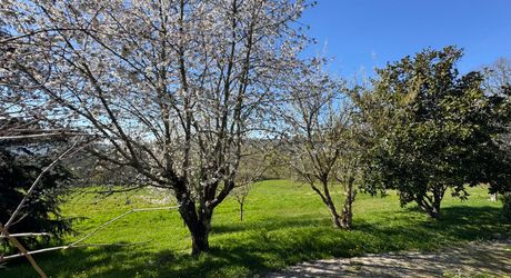  Demeure de caractère, de plain pied, avec une très belle vue, 4 chambres et une piscine, au pied des sites majeurs de la Vallée de la Dordogne.