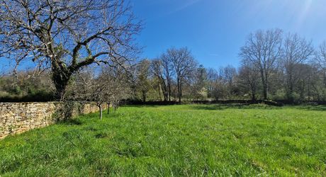 Perigord Noir, Projet en pierres du pays, en cours de renovation et  début d'extension sur joli terrain clos de murets