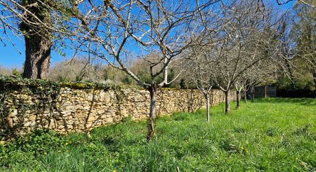 Perigord Noir, Projet en pierres du pays, en cours de renovation et  début d'extension sur joli terrain clos de murets
