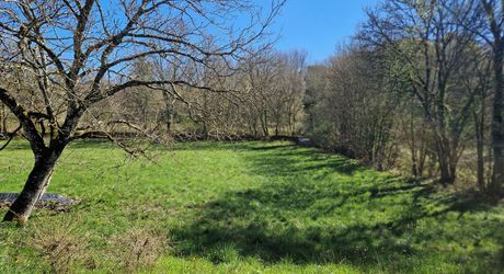 Perigord Noir, Projet en pierres du pays, en cours de renovation et  début d'extension sur joli terrain clos de murets