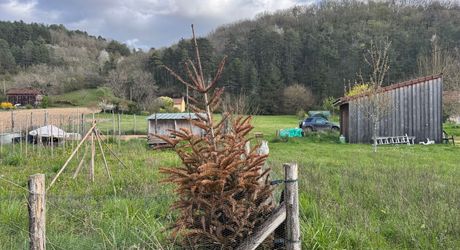 Ensemble ancien de deux maisons + garage indépendant