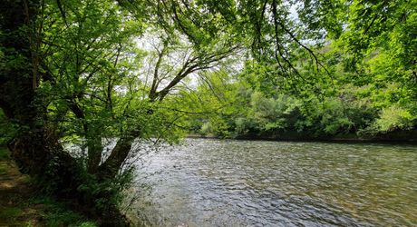 Propriété avec Maison d'habitation, Maison d'amis, Studio, Piscine, parc et jardin 7418m2 jusqu'à la rivière.
