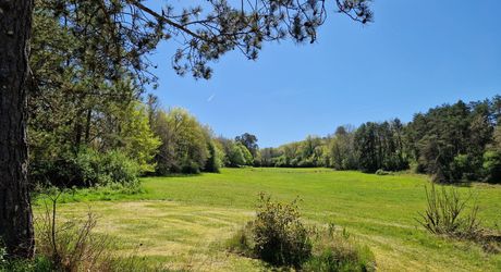 Propriété de charme – 3 maisons sur 2 ha, sans vis-à-vis, piscine, gîtes prêts à exploiter