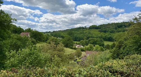 Maison de charme en pierres au coeur du Périgord Noir avec 11 hectares de terrain et un golf accessible à pied