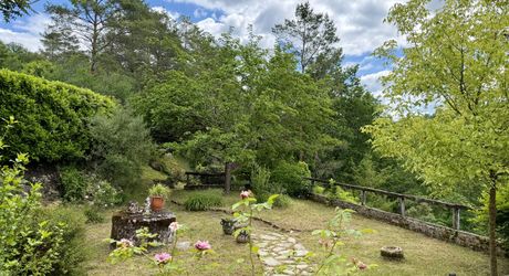 Maison de charme en pierres au coeur du Périgord Noir avec 11 hectares de terrain et un golf accessible à pied