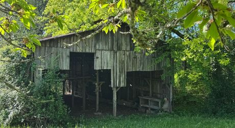 Propriété à rénover avec une maison de plain pied, 560m² de dépendances et 4 hectares, à 2km d'un village médiéval