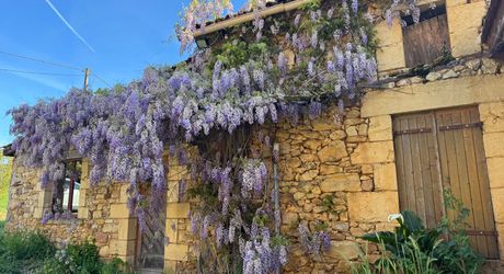 Propriété à rénover avec une maison de plain pied, 560m² de dépendances et 4 hectares, à 2km d'un village médiéval