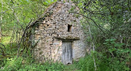 Charmante ancienne fermette en pierre restaurée au coeur du Périgord Noir, au calme, proche des commerces
