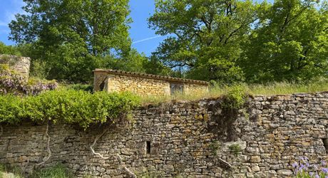 Charmante ancienne fermette en pierre restaurée au coeur du Périgord Noir, au calme, proche des commerces