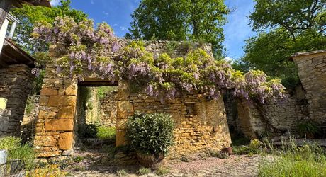 Charmante ancienne fermette en pierre restaurée au coeur du Périgord Noir, au calme, proche des commerces