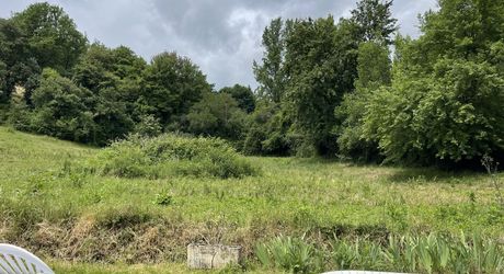 Une maison pleine de vie et de possibilités avec piscine et 2 hectares et demi et ... 9 chambres !