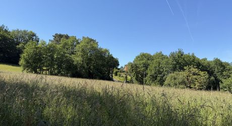 Terrain constructible